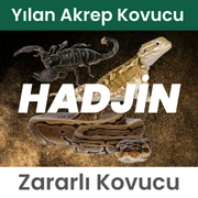 Hadjin