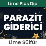 Lime Sülfür