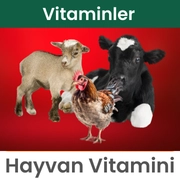 Vitaminler