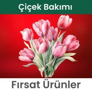 Çiçek