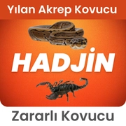 Hadjin
