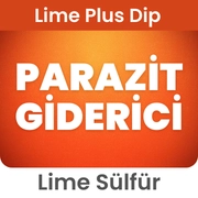 Lime Sülfür