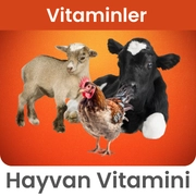 Vitaminler
