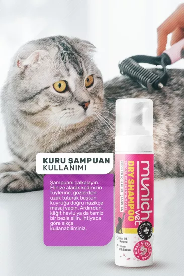Kediler İçin Kuru Bakım Şampuanı Kiraz Çiçeği Kokulu 200 ml