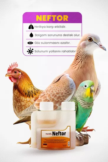 Neftor Kanatlı Hayvanlar İçin Hırıltı ve Nefes Ürünü